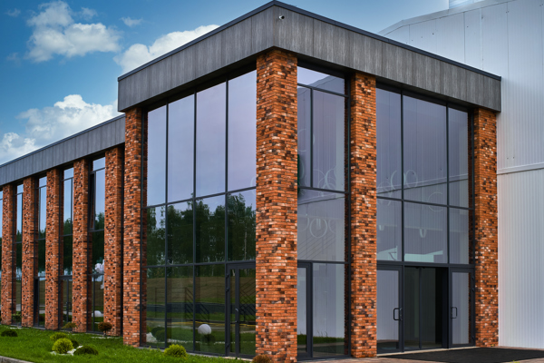 Грибная радуга 