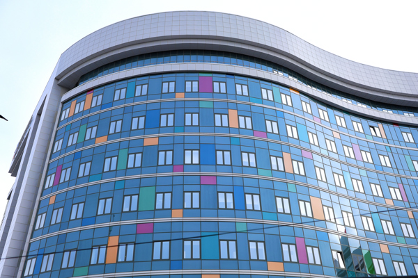 Детский клинический центр им. Л. М. Рошаля