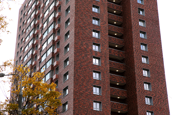 Жилой дом (реновация)