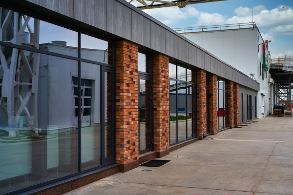 Грибная радуга 