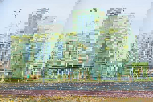 Общеобразовательная школа №439